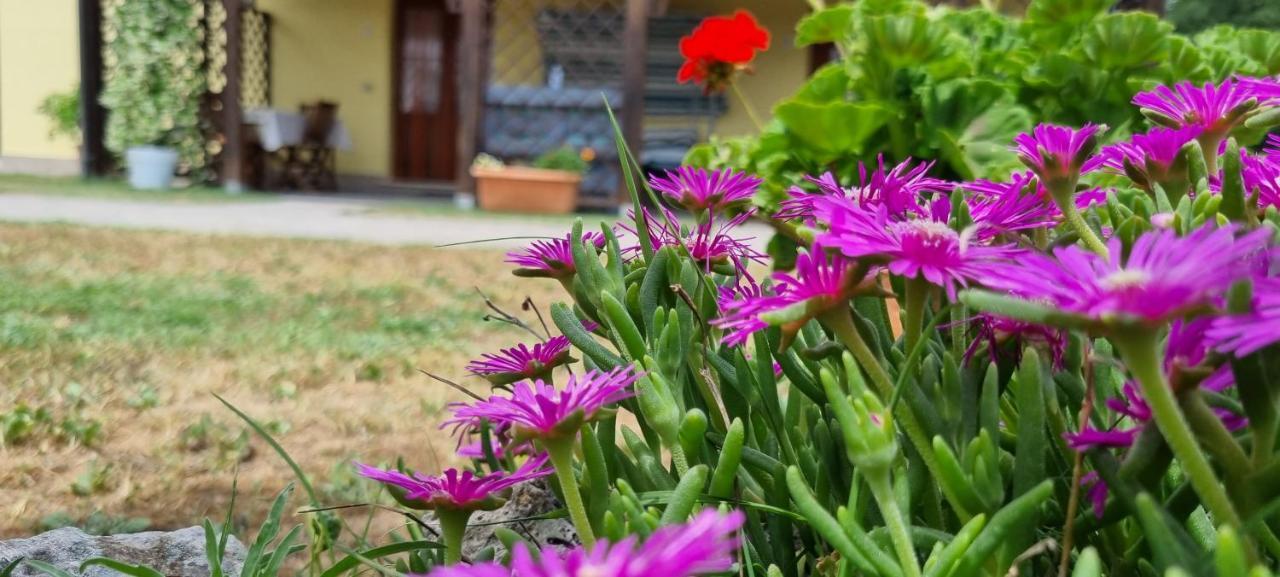 Il Fontanile Konuk evi Sovana Dış mekan fotoğraf